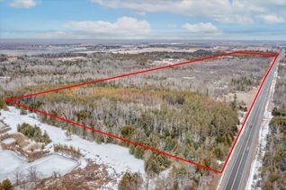 Vacant Residential Land for Sale, N/A Park Rd, Georgina, ON