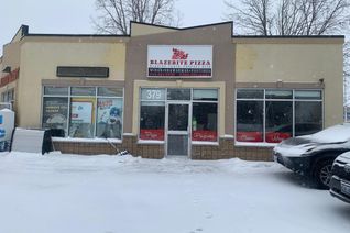 Non-Franchise Business for Sale, 379 Norwich Ave, Woodstock, ON