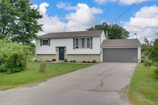 Bungalow for Rent, 41 Market St #Basement, Adjala-Tosorontio, ON