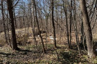 Vacant Residential Land for Sale, n/a n/a N/A, Gravenhurst, ON