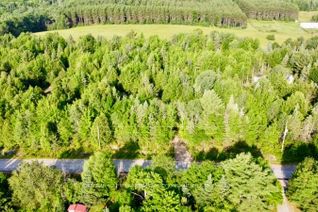 Property for Sale, 5280 Boulter Rd, Carlow/Mayo, ON