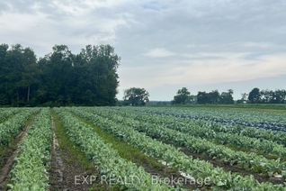 Commercial Farm for Sale, 11 Tucker St, Southwest Middlesex, ON