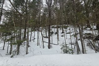 Vacant Residential Land for Sale, 107 Balsam Chutes Rd, Huntsville, ON