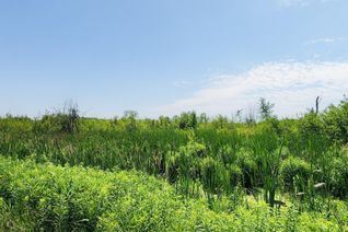 Land for Sale, 20200 Highway 48 N/A, East Gwillimbury, ON