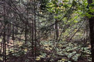 Vacant Residential Land for Sale, 4 SHORE Rd, Saugeen Shores, ON