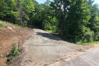 Land for Sale, 251 Shebeshekong Rd, Carling, ON
