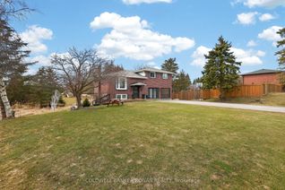 Sidesplit for Sale, 10 Catherine St, Adjala-Tosorontio, ON