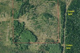 Property for Sale, NE PART OF S LOT 1 CON 6 N/A N/A, Timmins, ON Property for Sale, NE PART OF S LOT 1 CON 6 N/A N/A, Timmins, ON