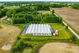 Farm for Sale, 53825 ZION Rd, Wainfleet, ON