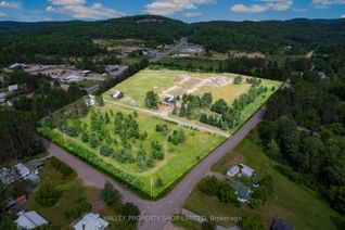 Commercial Land for Sale, 19303 Highway 60 Hwy, Madawaska Valley, ON