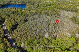 Land for Sale, 1356 Dickie Lake Rd, Lake of Bays, ON