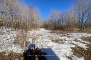 Vacant Residential Land for Sale, 00 Lot 1 County Rd 10 Rd, Rideau Lakes, ON