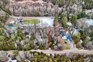 Vacant Residential Land for Sale, Lot 22 Routley Ave, Georgina, ON
