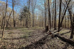Vacant Residential Land for Sale, 2494 Hadlington Rd, Highlands East, ON