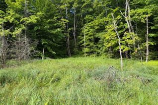 Vacant Residential Land for Sale, 1788 Old Muskoka Rd, Huntsville, ON