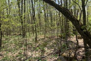 Property for Sale, 2376 SOUTH HORN LAKE Rd, Ryerson, ON Property for Sale, 2376 SOUTH HORN LAKE Rd, Ryerson, ON