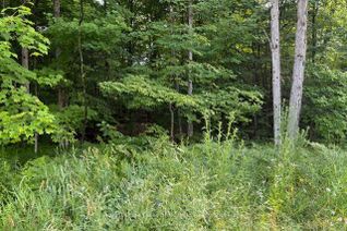 Vacant Residential Land for Sale, 60 SUMMER LEIGH Trl, Huntsville, ON