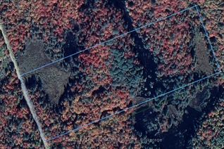 Vacant Residential Land for Sale, 0 Bobcaygeon Rd, Minden Hills, ON