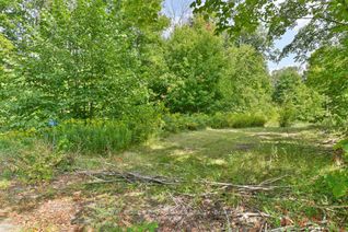 Vacant Residential Land for Sale, 316 High Shore Rd, Marmora and Lake, ON