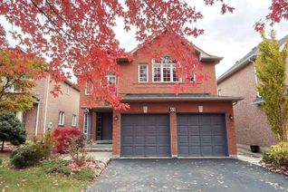 House for Rent, 65 Falling River Dr #Bsmt, Richmond Hill, ON