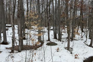 Property for Sale, 0 Tally Ho Winter Park Rd, Lake of Bays, ON