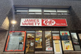 Non-Franchise Business for Sale, 241 Dunsdon St #117, Brantford, ON