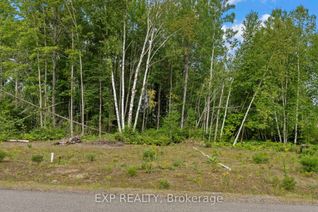 Vacant Residential Land for Sale, 14 Birchview Dr, Madawaska Valley, ON
