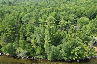 Land for Sale, 0 Halls Lake Rd, Algonquin Highlands, ON