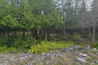 Vacant Residential Land for Sale, LT 254 Dorcas Bay Rd, Northern Bruce Peninsula, ON Vacant Residential Land for Sale, LT 254 Dorcas Bay Rd, Northern Bruce Peninsula, ON