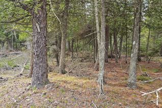 Vacant Residential Land for Sale, LT 255 Pedwell Pt. Dr, Northern Bruce Peninsula, ON Vacant Residential Land for Sale, LT 255 Pedwell Pt. Dr, Northern Bruce Peninsula, ON