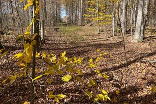 Vacant Residential Land for Sale, Part Lot 17 Grey Road 17 Rd E, Georgian Bluffs, ON