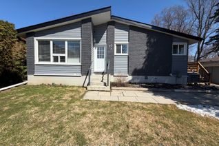 Detached House for Rent, 73 Roxborough Rd #Lower, Newmarket, ON Detached House for Rent, 73 Roxborough Rd #Lower, Newmarket, ON
