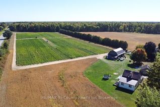 Commercial Farm for Sale, 1225 1st Concession ENR Rd, Norfolk, ON