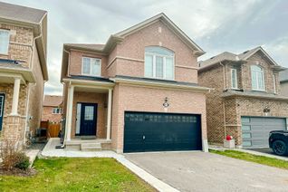 Property for Rent, 813 Groveland Ave #Bsmt, Oshawa, ON