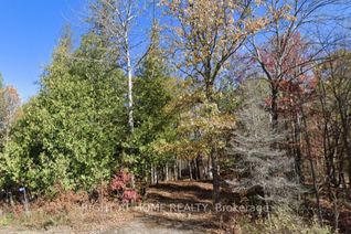 Vacant Residential Land for Sale, 93 McCleary Rd, Marmora and Lake, ON