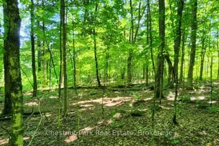 Vacant Residential Land for Sale, 0 Skyline Dr, Armour, ON