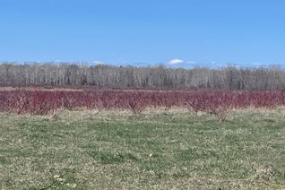 Property for Sale, 250 Scotch Line Rd, Assiginack, ON