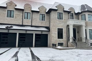 Detached House for Rent, 79 Maple Grove Ave #Bsmt #2, Richmond Hill, ON Detached House for Rent, 79 Maple Grove Ave #Bsmt #2, Richmond Hill, ON