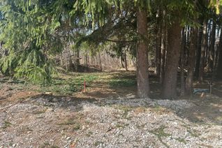 Vacant Residential Land for Sale, PTLT9-10 McNaughton St, South Bruce Peninsula, ON