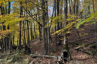 Vacant Residential Land for Sale, 353C BALSAM CREEK Rd, Parry Sound Remote Area, ON