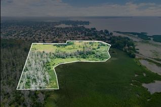 Vacant Residential Land for Sale, 0 Ontario St, Brighton, ON Vacant Residential Land for Sale, 0 Ontario St, Brighton, ON