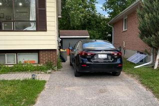 Bungalow for Rent, 31 Bernick Dr #Basement, Barrie, ON