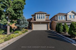 Apartment for Rent, 14 Sequoia Rd #Basement, Vaughan, ON