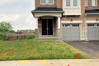 Property for Rent, 68 Drizzel Cres #Bsmt, Richmond Hill, ON