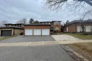 Property for Rent, 166 Fincham Ave #Main, Markham, ON Property for Rent, 166 Fincham Ave #Main, Markham, ON