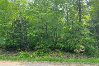 Vacant Residential Land for Sale, 387 Sunny Hill Rd, Madawaska Valley, ON