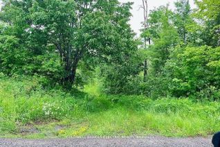 Land for Sale, 000 Lasswade Rd, North Kawartha, ON Land for Sale, 000 Lasswade Rd, North Kawartha, ON