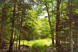 Vacant Residential Land for Sale, 0 Peplinskie Rd, Madawaska Valley, ON