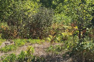 Vacant Residential Land for Sale, 931 River Rd E, Wasaga Beach, ON