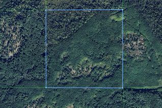 Land for Sale, PCL 18819 Tovell N/A, Lake of the Woods, ON Land for Sale, PCL 18819 Tovell N/A, Lake of the Woods, ON